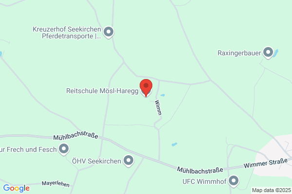 Schoechl Doris