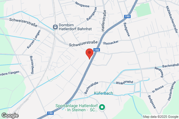 Auto Walser