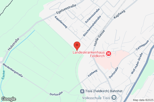 Niederstetter Juergen GmbH