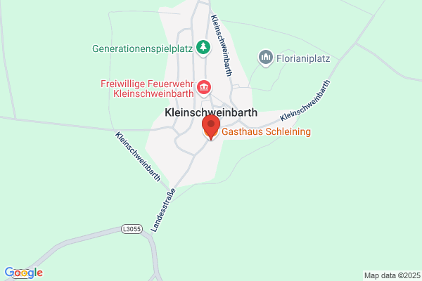 Erich Schleining