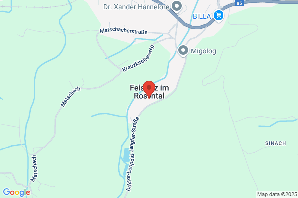 SV Feistritz/Rosental