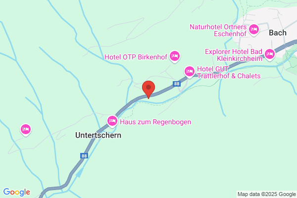 Asseg BaugesmbH