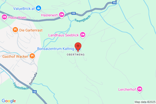 Bonsaizentrum Kattnig