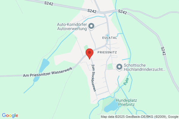 Weritsch Franz E