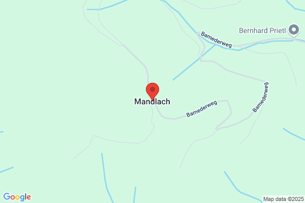 Heinrich Mandlez