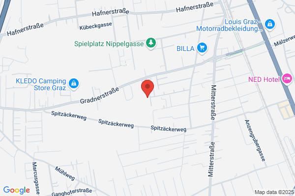 TC Belvedere/Schoenberger