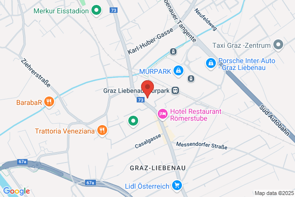 Hanns Pintarics