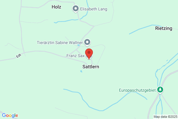 Ferdinand Sax