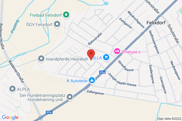 CLIENT/SERV. EDV- und Elektr. Handels-GmbH und Co KG Fil 2603 Felixdorf (303341317)