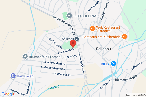 Schachverein