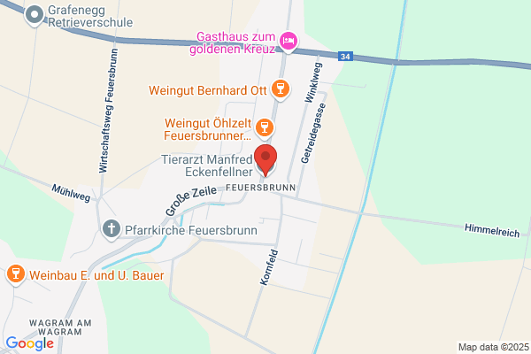 Eckenfellner Manfred