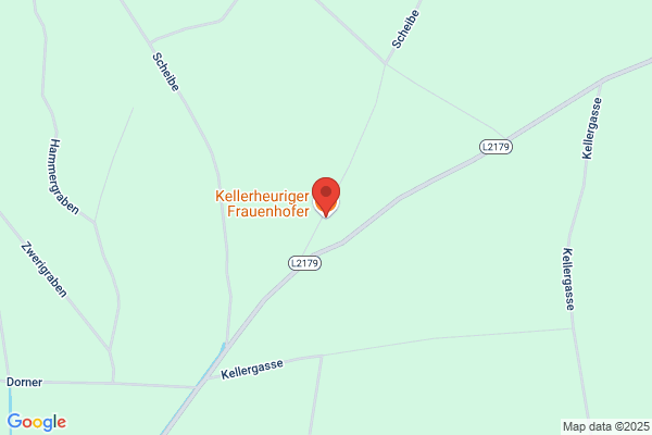 Karl Frauenhofer