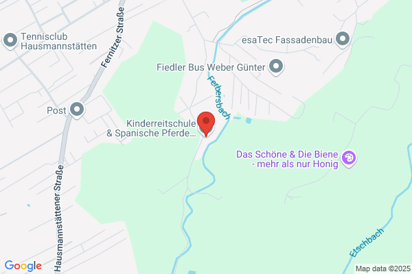 Kinderreitschule & Spanische Pferde Lindenhof