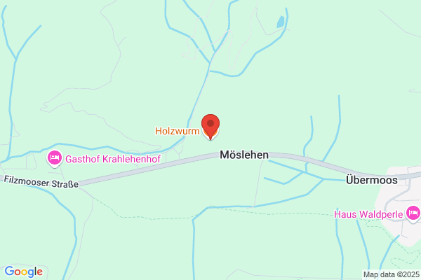 Holzwurm