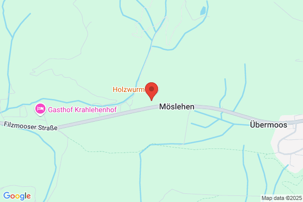 Filzmoos Neuberg Bergbahnen Ges.mbH und Co KG