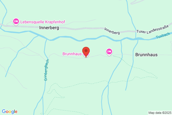 Gasthof Pension Brunnhaus