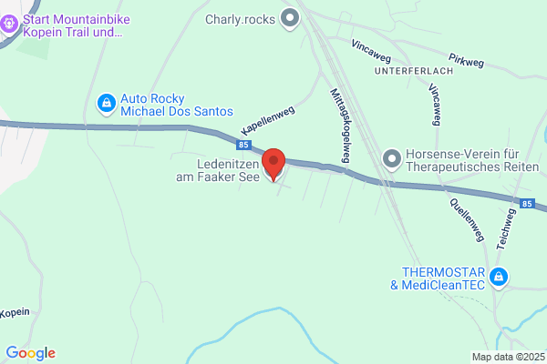 Veronika Scherer