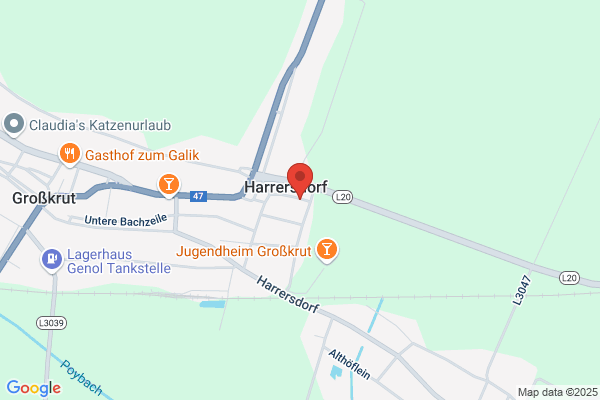 Guenther Jelinek
