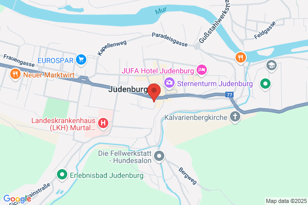 Diechler Friedrich - Rauchfangkehrerbetrieb & Kaminsanierung