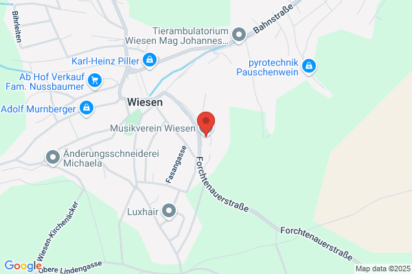 Musikverein Wiesen