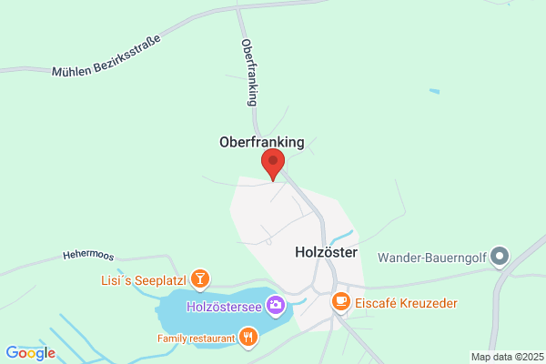 Hochwagen OEG