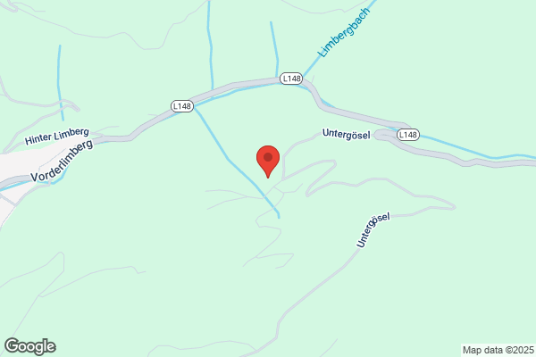 Ernst Vallant