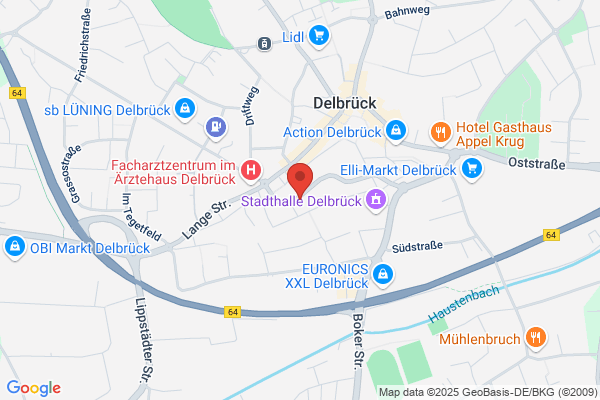 Delacher Logistic AG