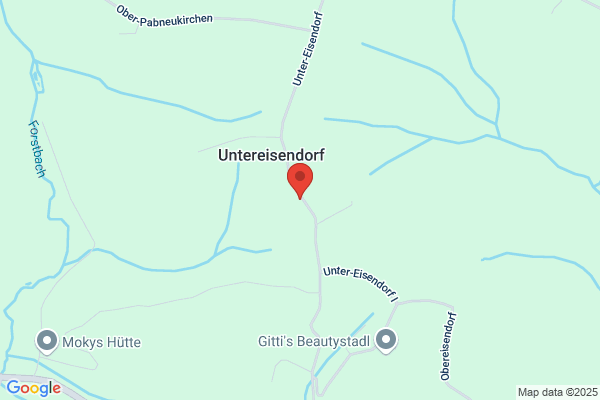 Alois Riegler