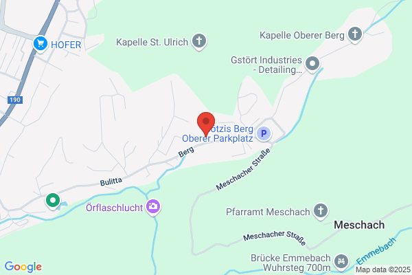 Tembl Manfred - Meistertischler