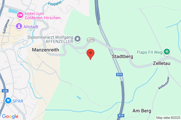 Erika Affenzeller