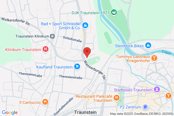 Villa Traunstein Albinus