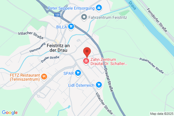 Paulitsch Peter Dipl-TA Dr