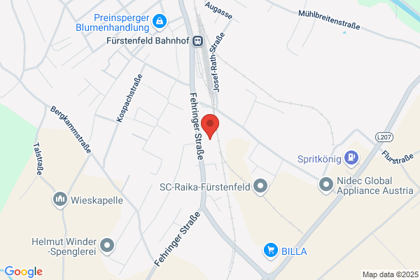Gruender- und Service- zentrum Fuerstenfeld Ems und Veitsberger KEG