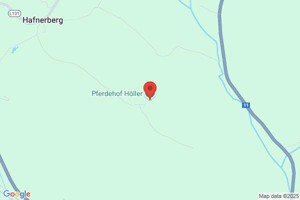 Pferdehof Steinberger