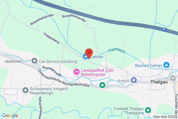 USV Thalgau - Sektion alpin