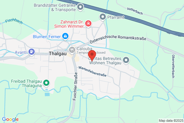 Zimmergewehr Schuetzenverein Thalgau