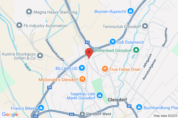 Dipl.Ing. Winfried Lechner