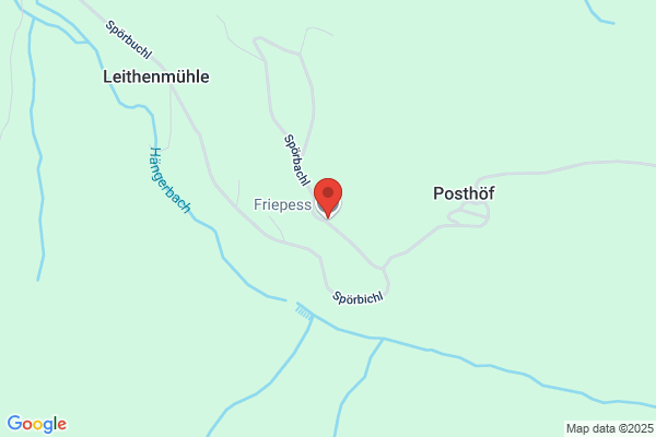 Steinindustrie Albert Friepess Ges.mbH und Co KG