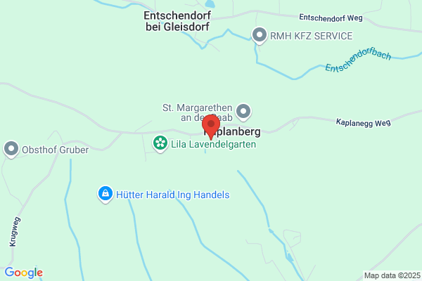 Dipl.Ing. Hanno Meister