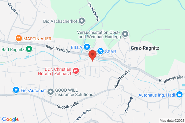 Seiser Franz Josef Prof. Baurat h.c. Dipl.Ing. FRICS