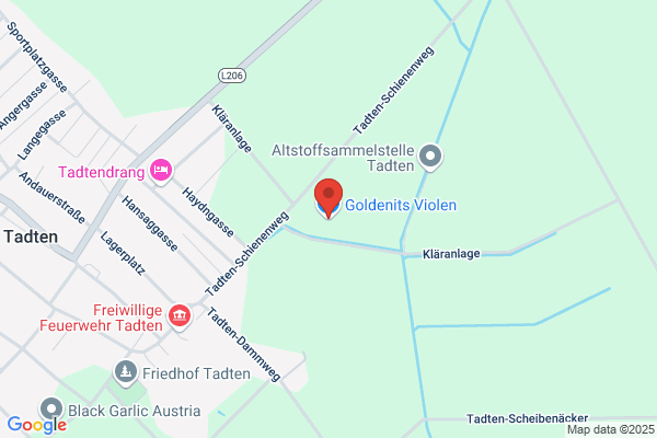 Goldenits VIOLEN KG