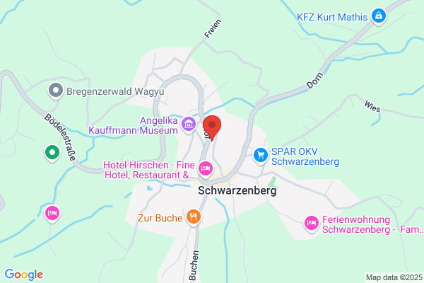 Schneider Electronic