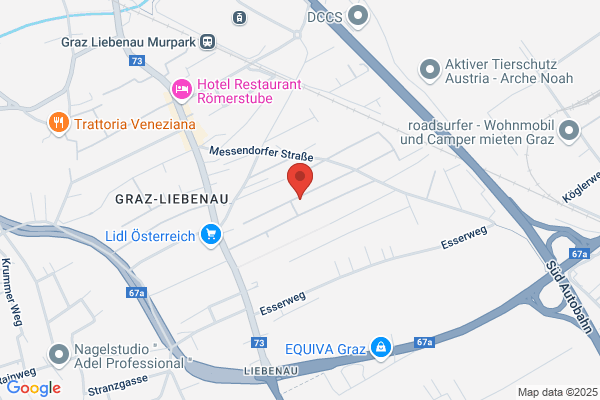 Demmelmayer und Antensteiner OEG
