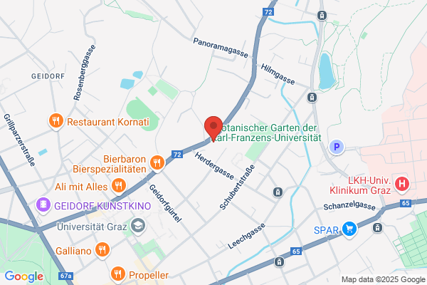 Institut f Pastoraltheologie