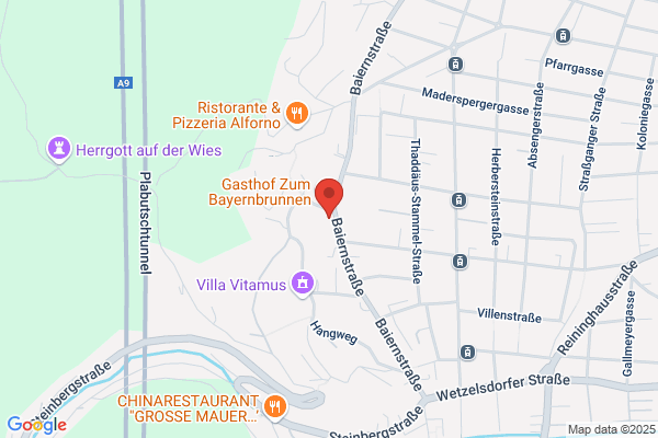 Dr. med. dent. Johanna Schinagl