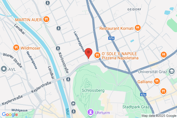 Martina Schafschetzy