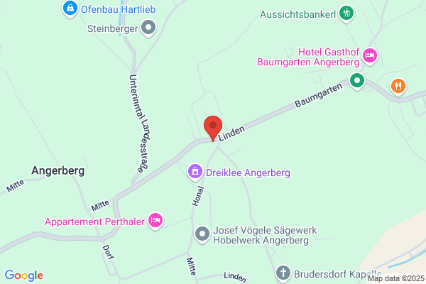 Sozialdemokratische Partei Oesterreichs