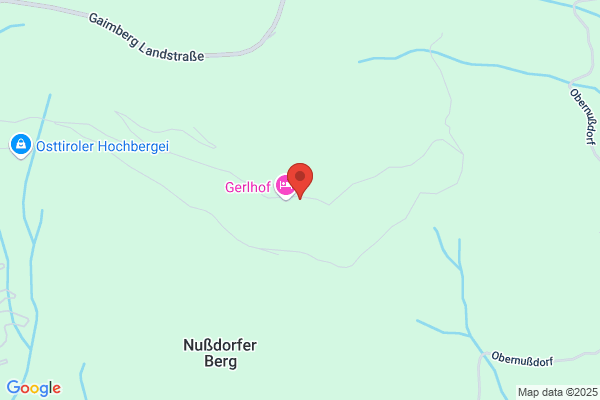 Gertraud Steiner