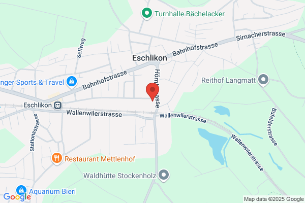 Hollenstein und Bertsch OEG