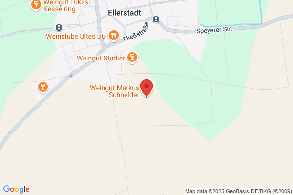 Schneider Markus - Sitelab - Internetsolution